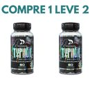 Typhon Dragon: Poder, Definição e Desempenho de Atleta!