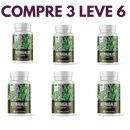 Astragalus – Fortaleça sua Imunidade e  seu Corpo