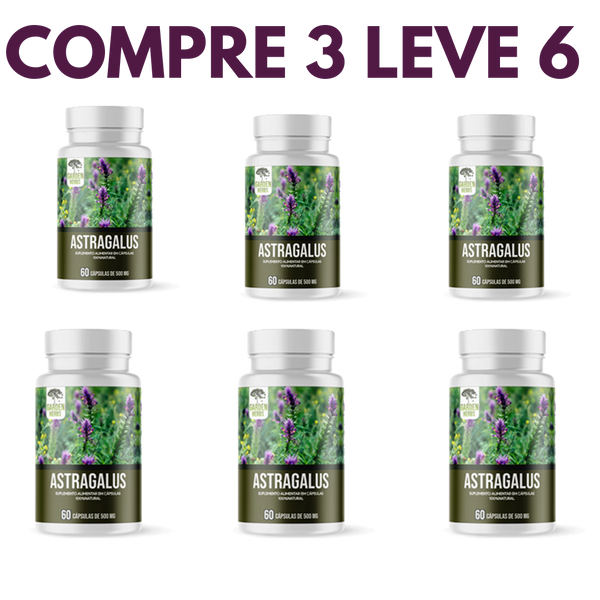 Astragalus – Fortaleça sua Imunidade e  seu Corpo