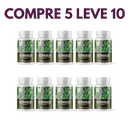 Astragalus – Fortaleça sua Imunidade e  seu Corpo